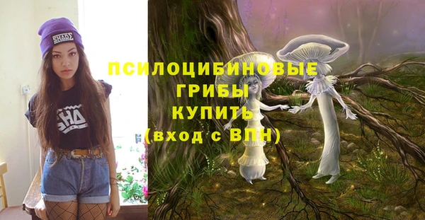 молекула духа Балахна
