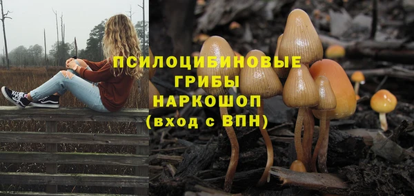 apvp Богданович