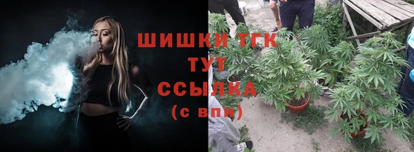 apvp Богданович