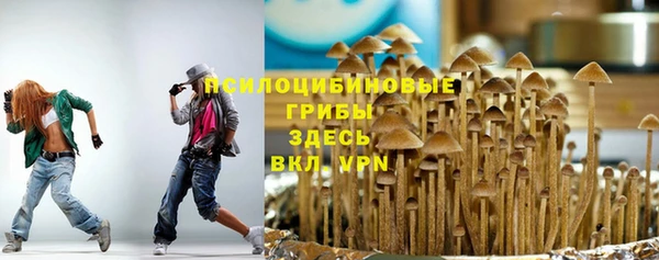 прущие крисы Богородск