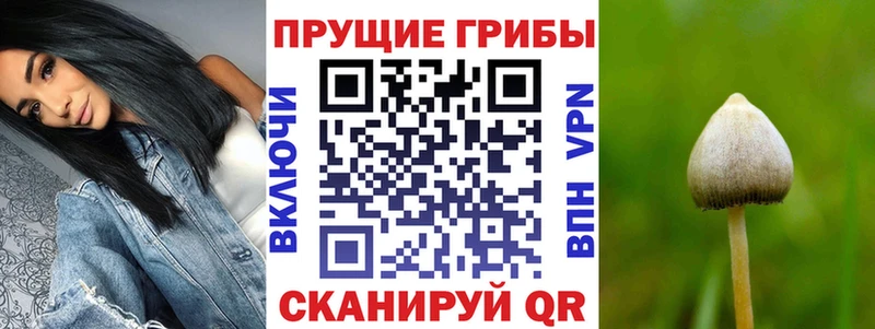 Галлюциногенные грибы мицелий  KRAKEN   Гороховец  закладки 