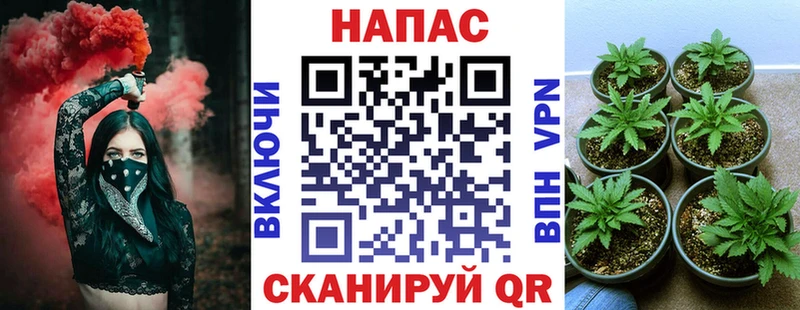 Бошки Шишки THC 21%  KRAKEN зеркало  Гороховец  где купить  